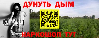 Альфа ПВП Аргун